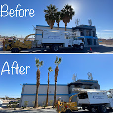 Featured Las Vegas landscaping project 2