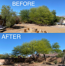 Desert Landscape Design