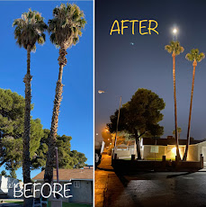 Outdoor Lighting