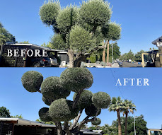 Featured Las Vegas landscaping project 3